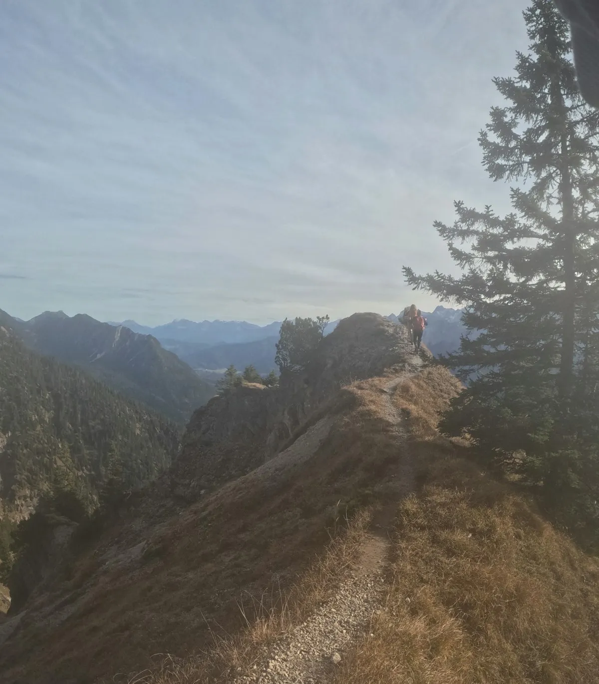 Schellschlicht Hike Trail Notes